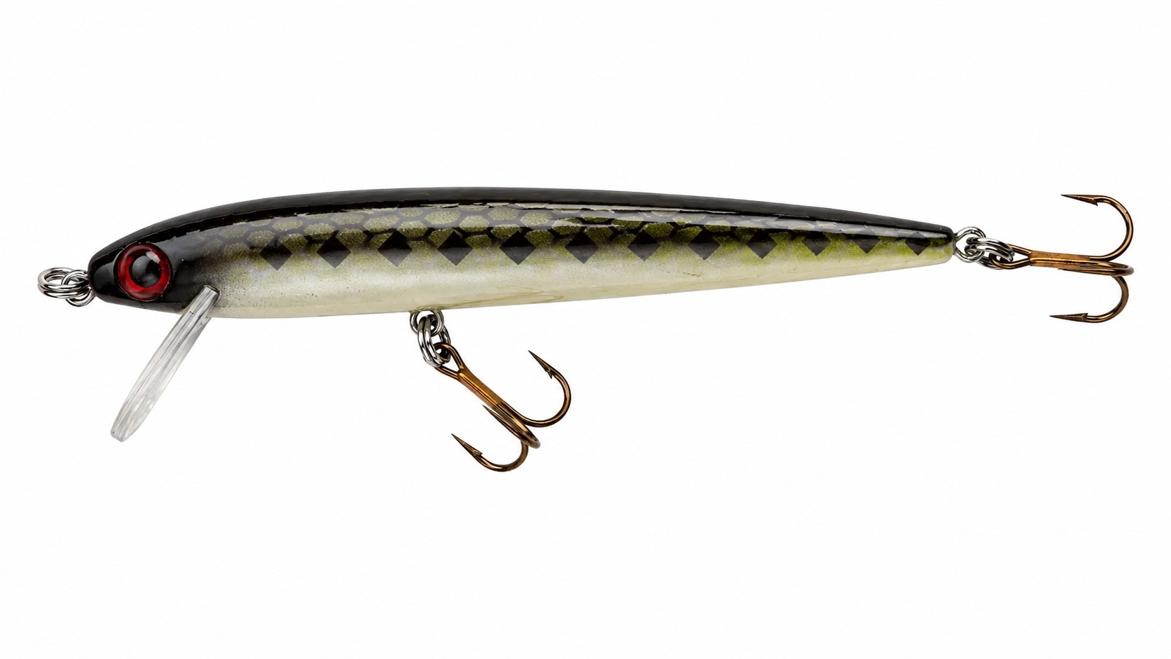 Hard Jerkbait