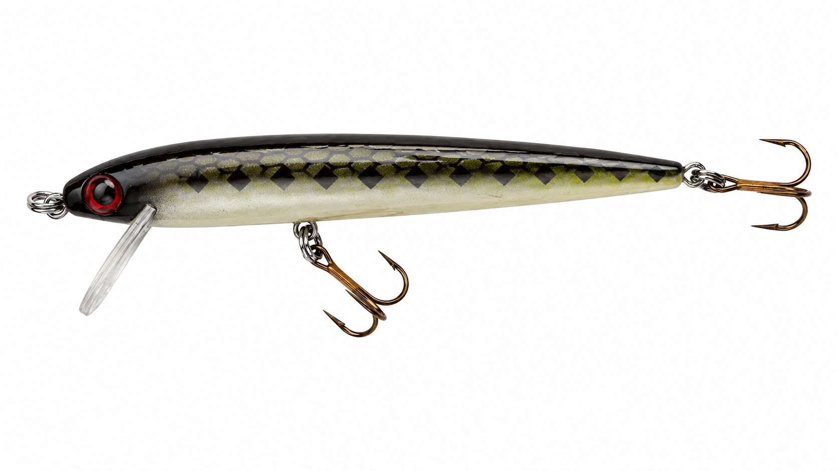 Hard Jerkbait
