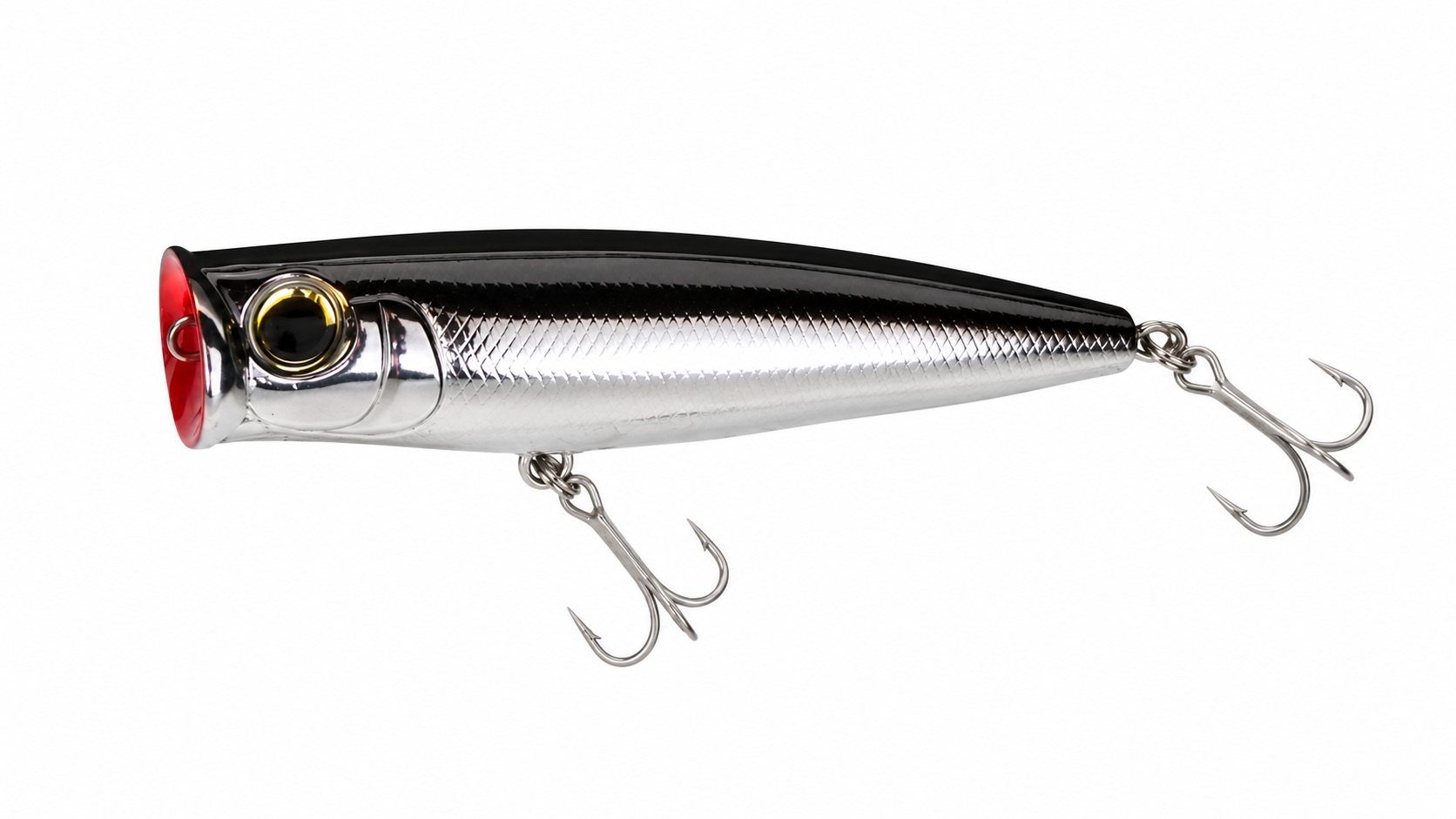 Saltwater Popper