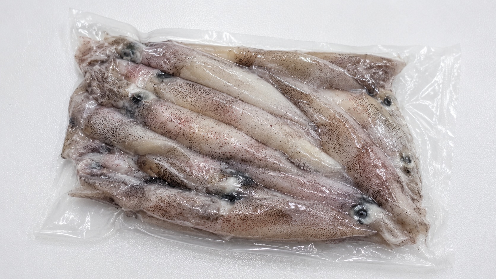 Squid